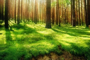 世界体能恢复公益课堂高校合作第46批项目验收结果公布，国际体能大会